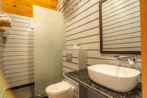 The Barbet - Treehouse