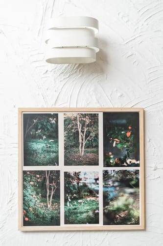 Hydrangea Hill (Entire Estate)