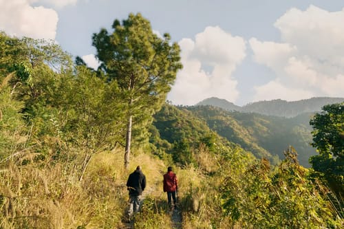 Willowdale ~ Classic Suite – 2 bedroom villa in Bhimtal, Uttarakhand