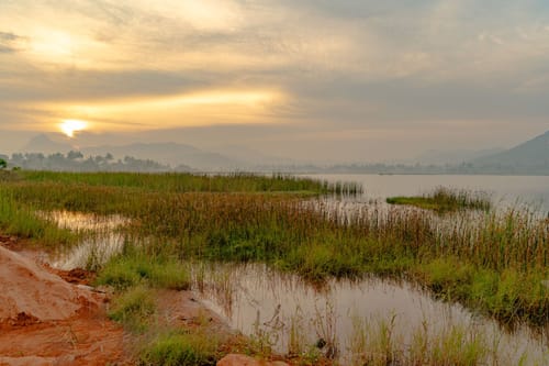 Superior @ Verdant Farmstay – 4 bedroom villa in Bangalore, Karnataka