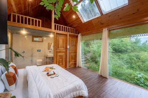 The Sinatra Skylight: Glass treehouse in the mist