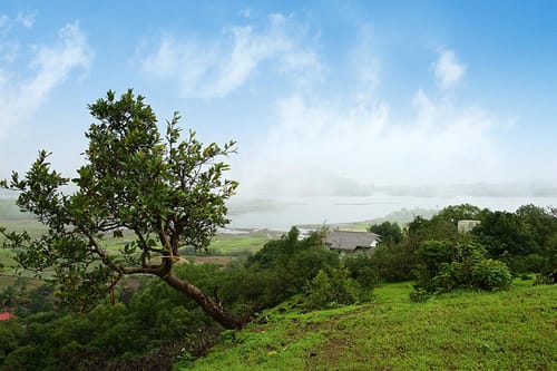 Bungalow 89 – 4 bedroom villa in Lonavala, Maharashtra