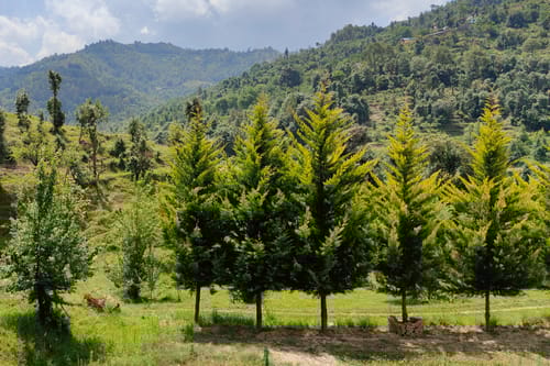 GlenBrook Estate | Hillside 1-BHK Suite & 1 Cottage with Gazebo, Restro & Lounge Area Near Waterfall