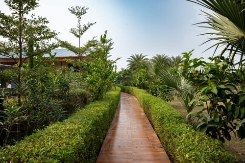 Aurea | 4-BHK Farmhouse With Private Pool, Garden & Gazebo – 4 bedroom villa in Delhi Ncr, Delhi