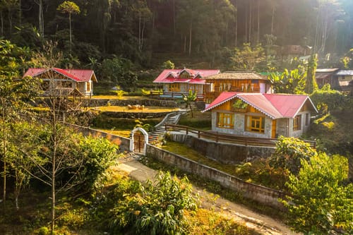 Tulip @ Nature’s Lap