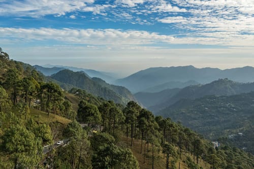 Mist @ Avasa Stays – 3 bedroom villa in Nainital, Uttarakhand