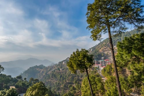 Cecil Cottages - Barog – 8 bedroom villa in Kasauli, Himachal Pradesh