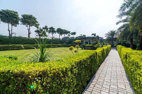 The Krishna Farmhouse | Countryside 4-BHK With Private Pool, Garden, Gazebo & Cricket Pitch – 3 bedroom villa in Delhi Ncr, Delhi