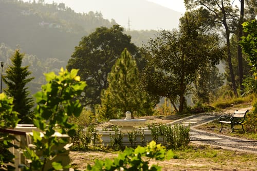 GlenBrook Estate | Hillside 1-BHK Suite & 1 Cottage with Gazebo, Restro & Lounge Area Near Waterfall