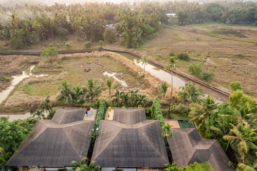 Noah @ Pura Vida - Anjuna – 5 bedroom villa in North Goa, Goa