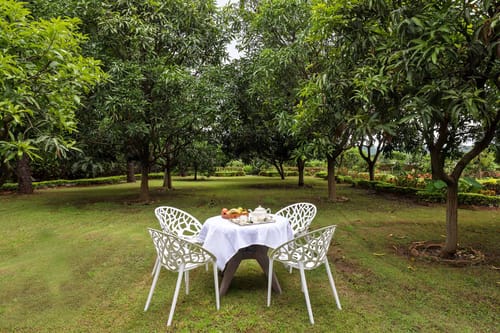 Spring @ Prakriti Farms w/ Breakfast – 3 bedroom villa in Udaipur, Rajasthan