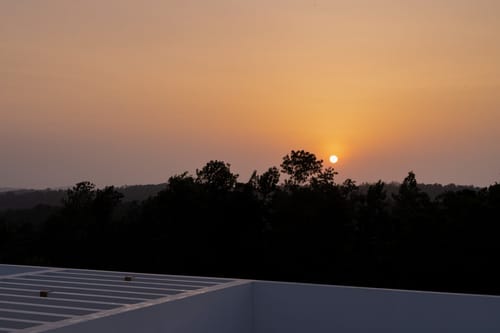 Reflection by The Woods