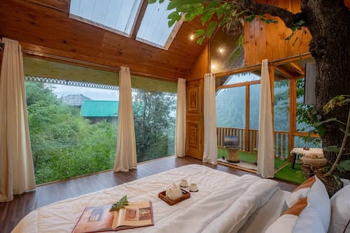 The Sinatra Skylight: Glass treehouse in the mist