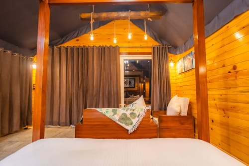 The Kingfisher Treehouse With Jacuzzi – 1 bedroom villa in Mussoorie, Uttarakhand