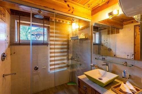 ChaletShanagManali- 4 BR Chalet