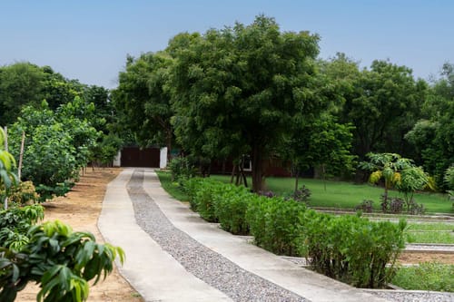 Idyllic Farmhouse - A Glasshouse w/ Outdoor Pool – 3 bedroom villa in Delhi-ncr, Haryana