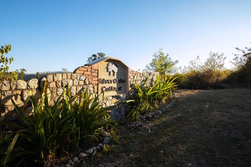 Room 4 @ The Silver Oaks Cottage – 1 bedroom villa in Dehradun, Uttarakhand