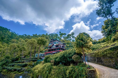 4 Rooms @ Cecil Cottages - Barog – 4 bedroom villa in Kasauli, Himachal pradesh