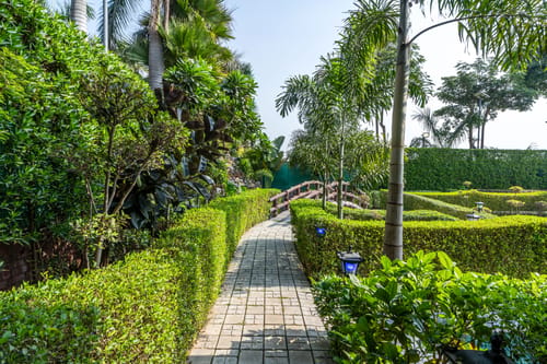 The Krishna Farmhouse | Countryside 4-BHK With Private Pool, Garden, Gazebo & Cricket Pitch – 3 bedroom villa in Delhi Ncr, Delhi