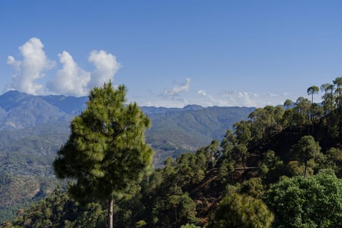 Suvas Villa – 6 bedroom villa in Ranikhet, Uttarakhand