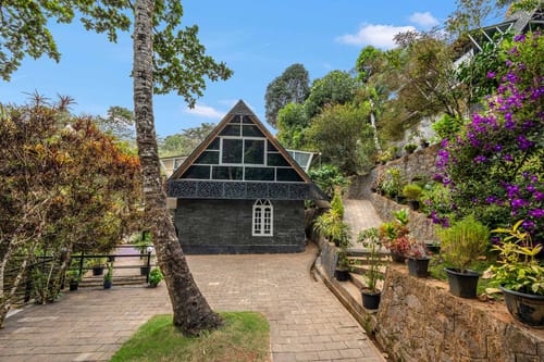 The Black Bean Cottage