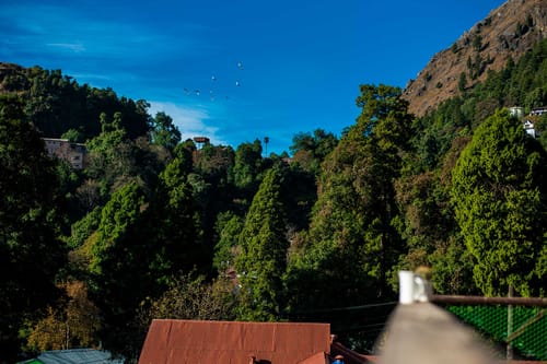Garbyang Homestay – 3 bedroom villa in Nainital, Uttarakhand