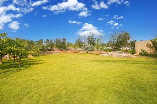 Urvi Grand Luxe Suite | Serene Farmstay With Garden, Common Pool & Dining Area – 1 bedroom villa in Bengaluru, Karnataka