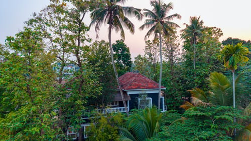 Vintage Retreat | 5-BHK Riverfront Heritage Villa With Speed Boat, Ayurvedic Spa & Cultural-Themed Rooms Near Malayattoor – 5 bedroom villa in Kochi, Kerala