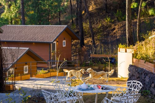 Sirmour Baag Cherry | A Pet-Friendly Cottage With Balcony, Common Garden & Restaurant