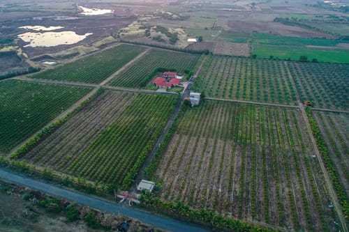 2 Rooms @ Desert Palms