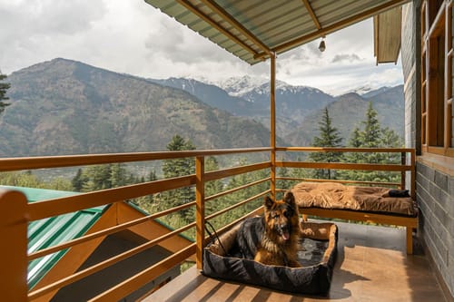 Nivara - Naggar – 5 bedroom villa in Manali, Himachal pradesh
