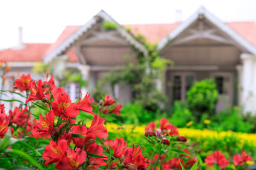 Ivory @ The Alcove – 2 bedroom villa in Ooty, Tamil Nadu