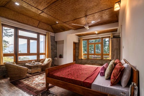 Daisy @ Nature’s Lap