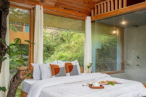 The Sinatra Skylight: Glass treehouse in the mist