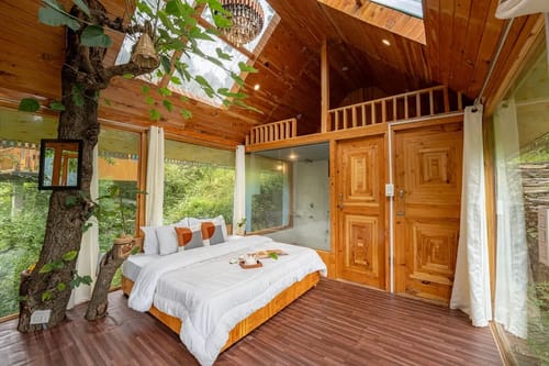 The Sinatra Skylight: Glass treehouse in the mist