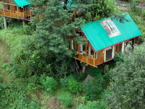 The Sinatra Skylight: Glass treehouse in the mist