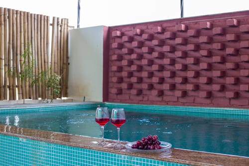 Ikigai – 2 bedroom villa in Udaipur, Rajasthan