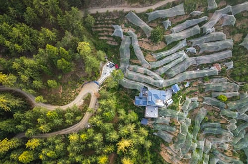 Luxurious Pahadi Retreat