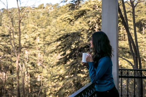 Pine Estate w/ Complimentary Breakfast – 6 bedroom villa in Shimla, Himachal Pradesh