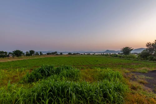 Lake La Vie – 3 bedroom villa in Nashik, Maharashtra