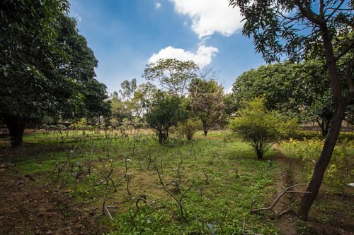 Solitude in the Woods - Sohna – 2 bedroom villa in Delhi-ncr, Haryana