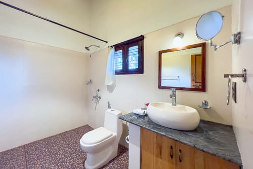 Firefly by the River