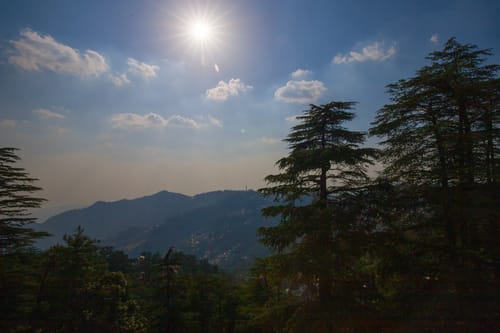 Baljees Melville Divine Apartments | 1-BHK | Kitchen | Lift – 1 bedroom villa in Shimla, Himachal Pradesh