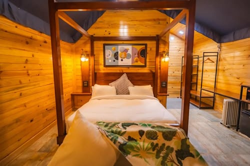 The Kingfisher Treehouse With Jacuzzi – 1 bedroom villa in Mussoorie, Uttarakhand