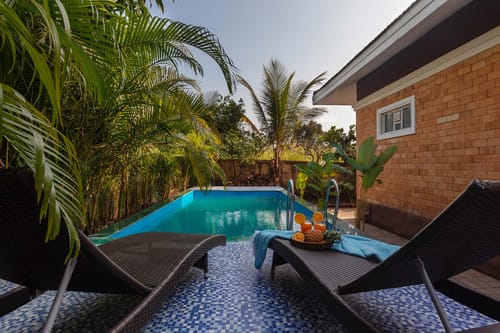 Wandering Greens - Palghar