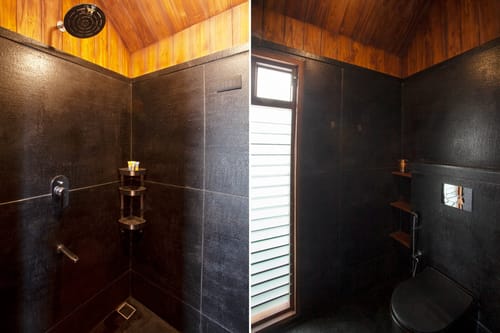 Reflection by The Woods