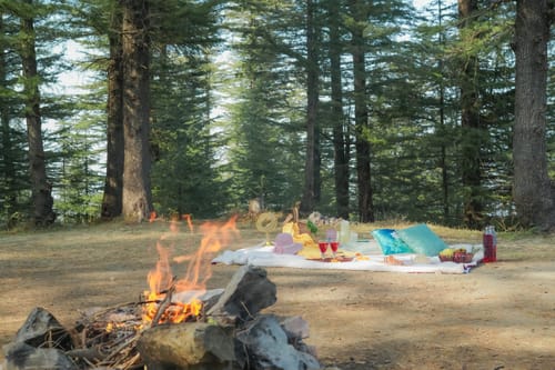 The Ridgeview Retreat Arabella | Pet-friendly Hillside Room with Private Balcony & Bathtub, Common Recreation Zone, Lounge & Restro | Close to Naldehra  – 1 bedroom villa in Shimla, Himachal Pradesh