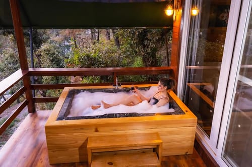 The Kingfisher Treehouse With Jacuzzi – 1 bedroom villa in Mussoorie, Uttarakhand