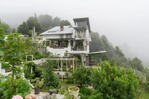 Hydrangea Hill (Garden)