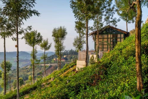 Glasshouse @ Under The Stars – 1 bedroom villa in Ooty, Tamil Nadu